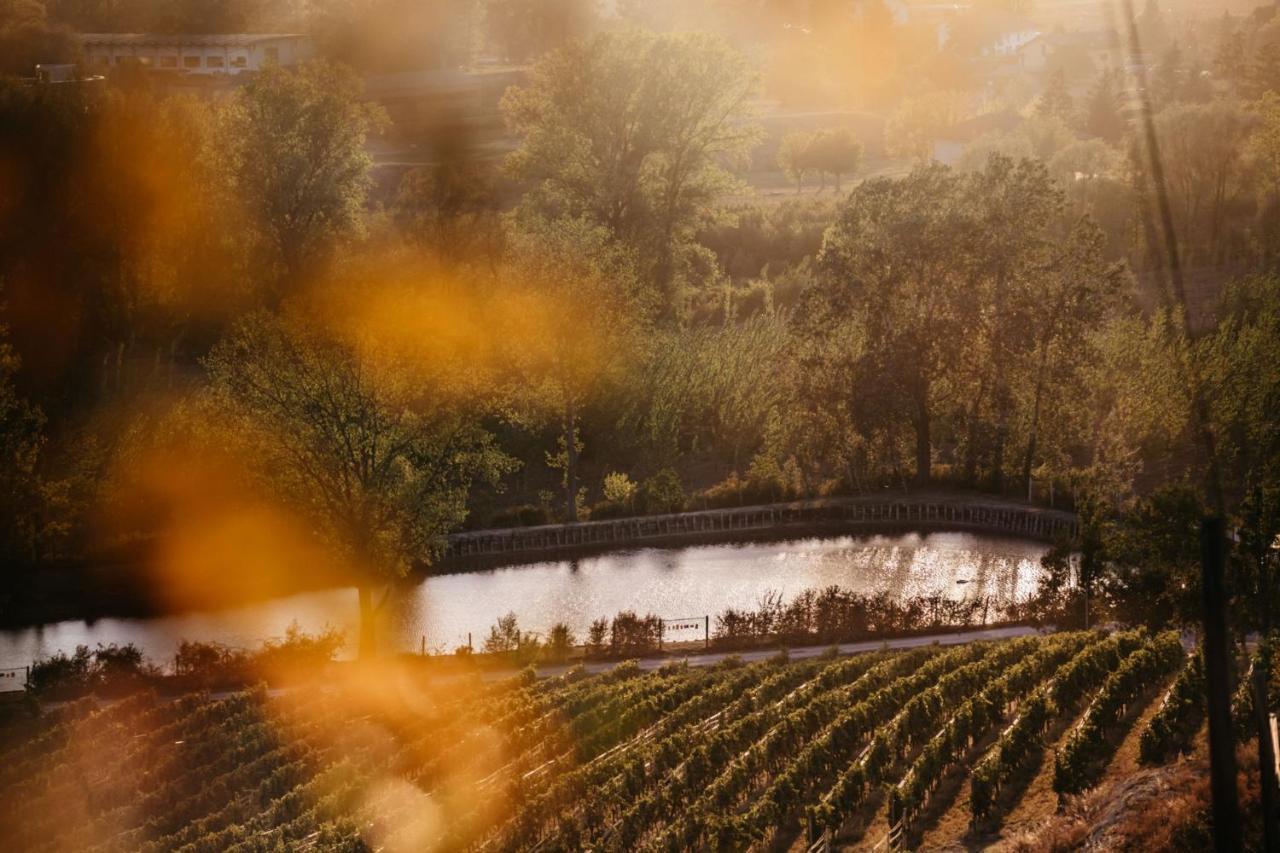 Alojamento de Turismo Rural Tenuta La Romana Nizza Monferrato
